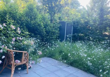 Wohnung Mainz Oberstadt - 1 Zimmer, 50 m&sup2;, 950&euro; | Angebot:27246479