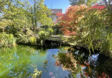 Wohnung Mainz / Finthen Finthen - 4 Zimmer, 132 m&sup2;, 1.700&euro; | Angebot:27141883