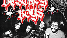 Destroy Boys - Support: Snayx