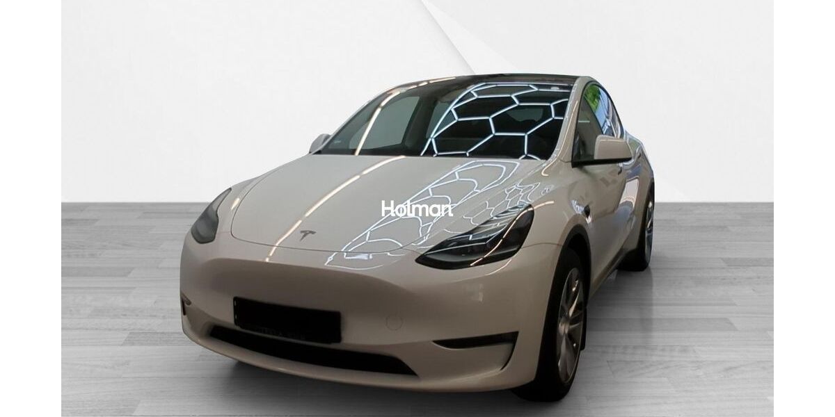 Tesla Model Y 119.373 km 29.200 &euro; Eschborn 65760