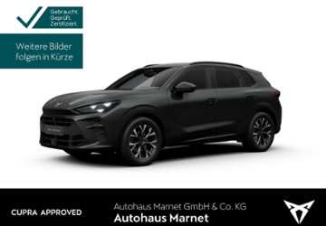Cupra Terramar 22.012 km 32.990 &euro; Königstein 61462