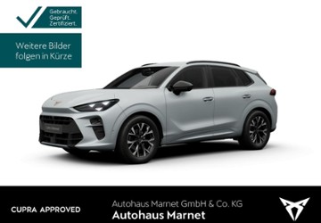 Cupra Terramar 20.662 km 32.990 &euro; Königstein 61462