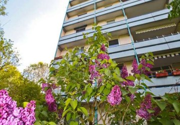 Wohnung Mainz Oberstadt - 4 Zimmer, 107 m&sup2;, 1.366&euro; | Angebot:27185333